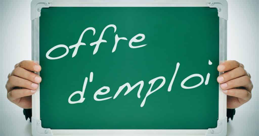 OFFRE D’EMPLOI SAISON ESTIVALE 2023 GUIDEANIMATEUR·TRICE Ville